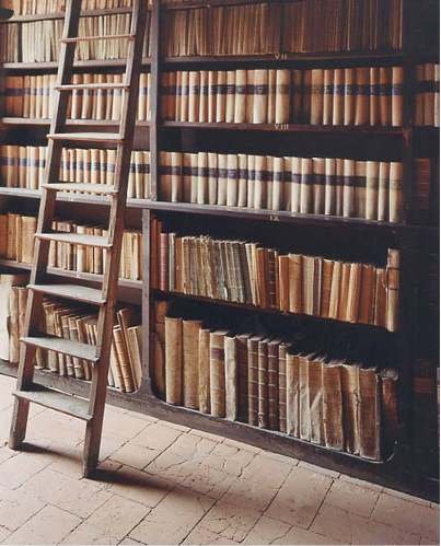 biblioteca1