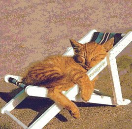 vacanza